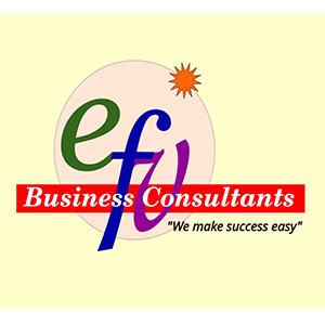 EFV Consultants